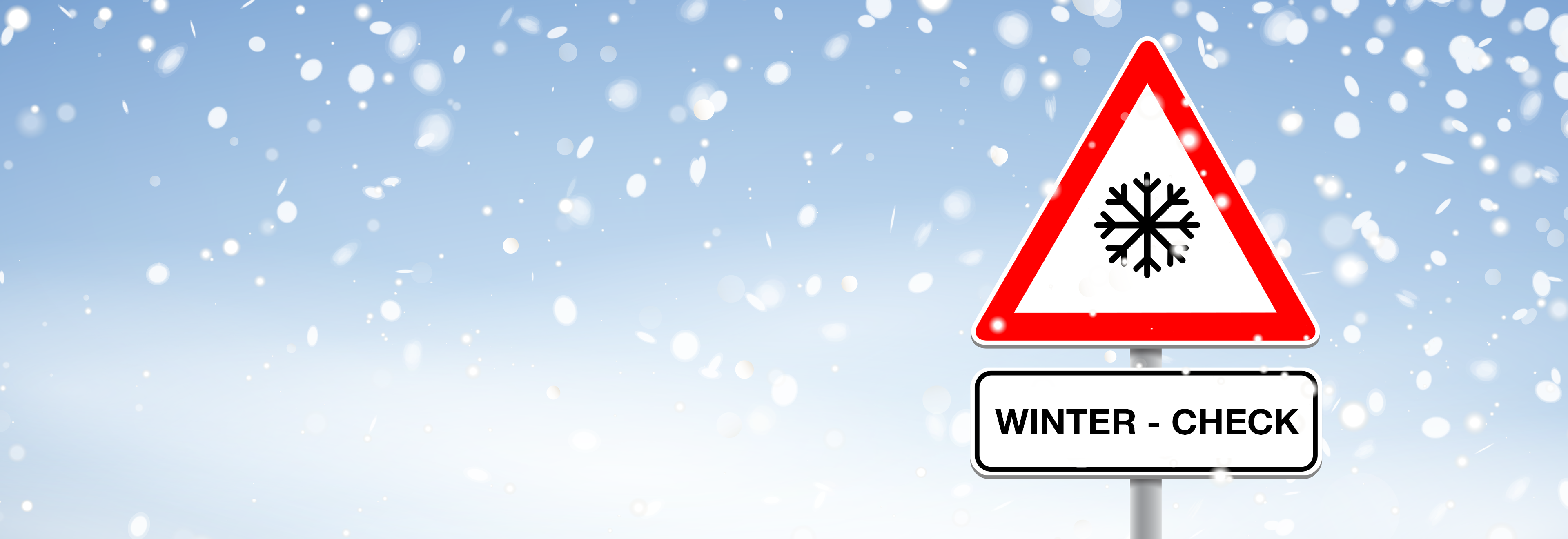 Winter-Check – Sicherheit und Zuverlässigkeit zum coolen Preis!